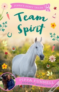 Capa do artigo Team Spirit