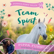 Capa do artigo Team Spirit