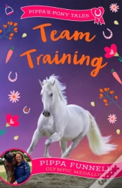 Capa do artigo Team Training
