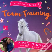 Capa do artigo Team Training
