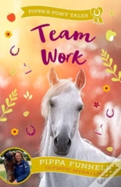 Capa do artigo Team Work