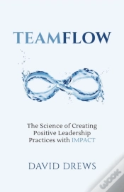 Capa do artigo Teamflow