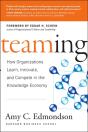 Teaming - Preview