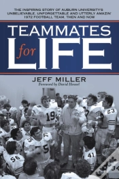 Capa do artigo Teammates For Life
