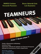 Teamneurs