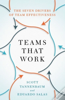 Capa do artigo Teams That Work