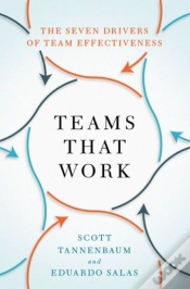 Capa do artigo Teams That Work