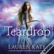 Capa do artigo Teardrop
