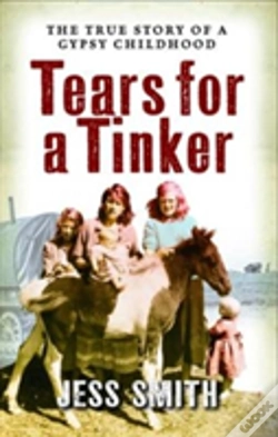 Capa do artigo Tears For A Tinker