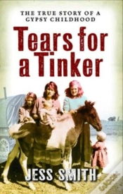 Capa do artigo Tears For A Tinker