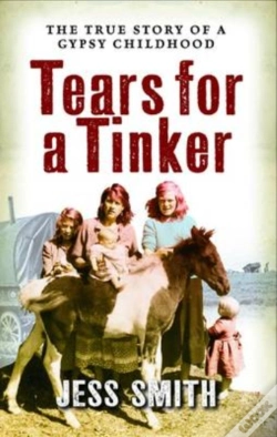 Capa do artigo Tears For A Tinker