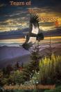 Tears Of The Condor - Preview