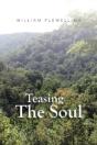 Teasing The Soul - Preview