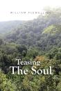 Teasing The Soul - Preview