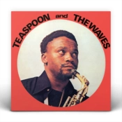 Capa do artigo Teaspoon and the Waves - CD