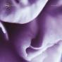 TECH039 - Vinil - Preview