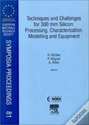 Capa do artigo Techniques And Challenges For 300 Mm Silicon: Processing, Characterization, Modelling And Equipment