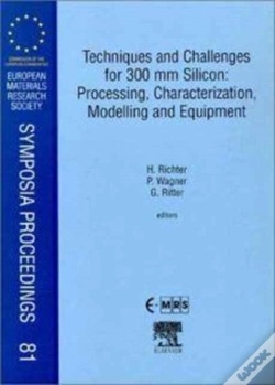 Capa do artigo Techniques And Challenges For 300 Mm Silicon: Processing, Characterization, Modelling And Equipment