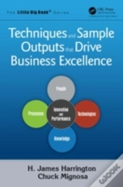 Capa do artigo Techniques And Sample Outputs That Drive Business Excellence