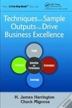 Capa do artigo Techniques And Sample Outputs That Drive Business Excellence