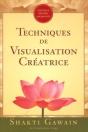 Techniques De Visualisation Creatrice - Preview