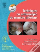 Techniques En Arthroscopie Du Membre Inférieur