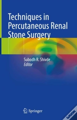 Capa do artigo Techniques In Percutaneous Renal Stone Surgery