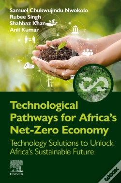 Capa do artigo Technological Pathways For Africa'S Net-Zero Economy