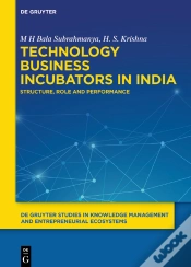Capa do artigo Technology Business Incubators In India