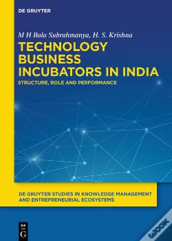 Capa do artigo Technology Business Incubators In India