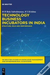 Capa do artigo Technology Business Incubators In India