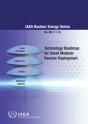 Technology Roadmap For Small Modular Rea - Preview