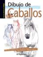 Técnicas Básicas De Dibujo. Dibujo De Caballos - Preview