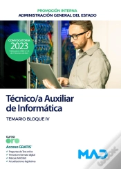 Capa do artigo Tecnico Auxiliar Informatica Administracion General