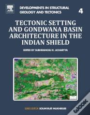 Tectonic Setting And Gondwana Basin Architecture In The Indian Shield