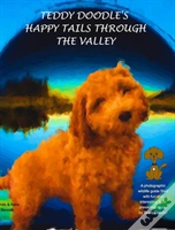 Capa do artigo Teddy Doodle