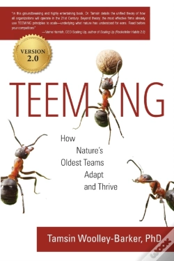 Capa do artigo Teeming