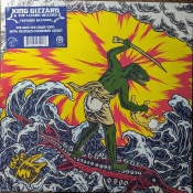 Capa do artigo Teenage Gizzard - Vinil