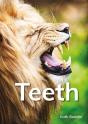 Teeth - Preview