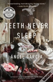 Capa do artigo Teeth Never Sleep