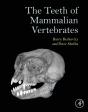 Teeth Of Mammalian Vertebrates - Preview