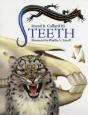 Teeth - Preview