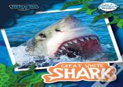 Teeth To Tail Of A Great White Shark