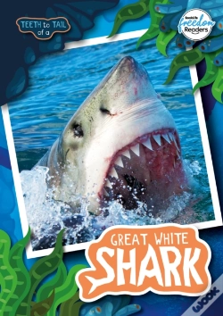 Capa do artigo Teeth To Tail Of A Great White Shark