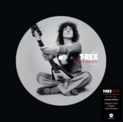 Capa do artigo Telegram Sam - Vinil