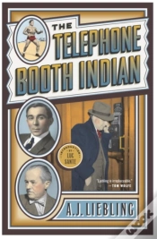 Capa do artigo Telephone Booth Indian
