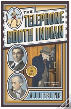 Capa do artigo Telephone Booth Indian