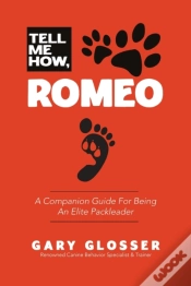 Capa do artigo Tell Me How, Romeo