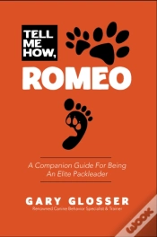 Capa do artigo Tell Me How, Romeo
