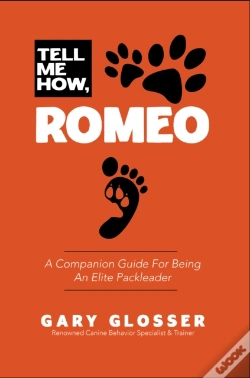 Capa do artigo Tell Me How, Romeo